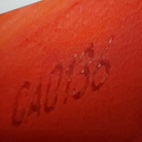 Authentic Louis Vuitton Sarah Wallet in Epi Leather Colour: Poppy Petal - Picture 9 of 10